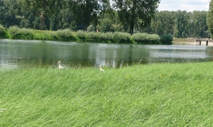 Naturfreundehaus Bootshaus Rappenwörth